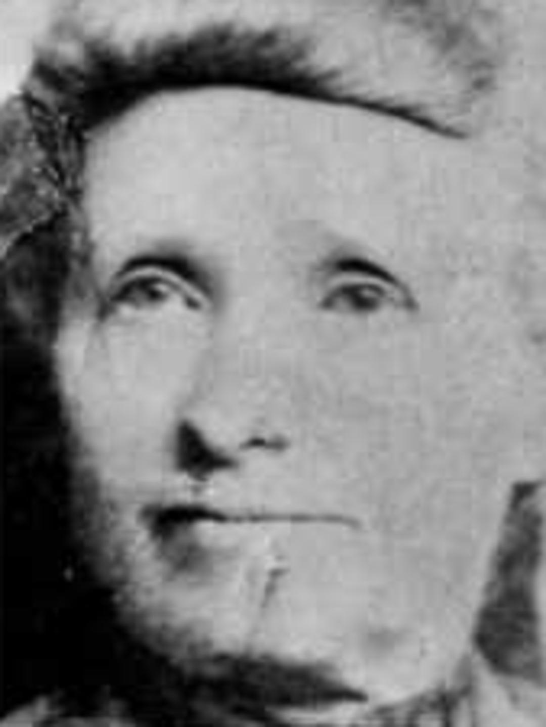 Betsy Barnes Woodward (1844 - 1898) Profile
